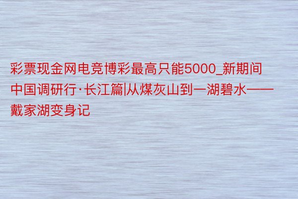 彩票现金网电竞博彩最高只能5000_新期间中国调研行·长江篇|从煤灰山到一湖碧水——戴家湖变身记