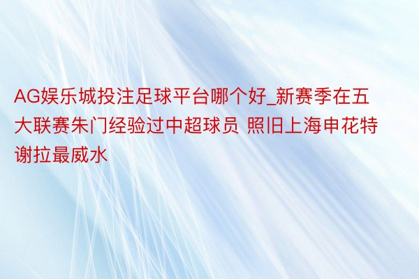 AG娱乐城投注足球平台哪个好_新赛季在五大联赛朱门经验过中超球员 照旧上海申花特谢拉最威水