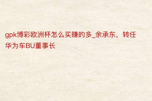 gpk博彩欧洲杯怎么买赚的多_余承东，转任华为车BU董事长